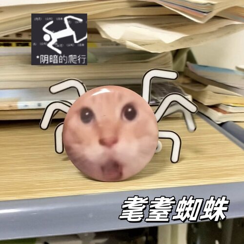 耄耋蜘蛛抽象爬行猫meme发条玩具