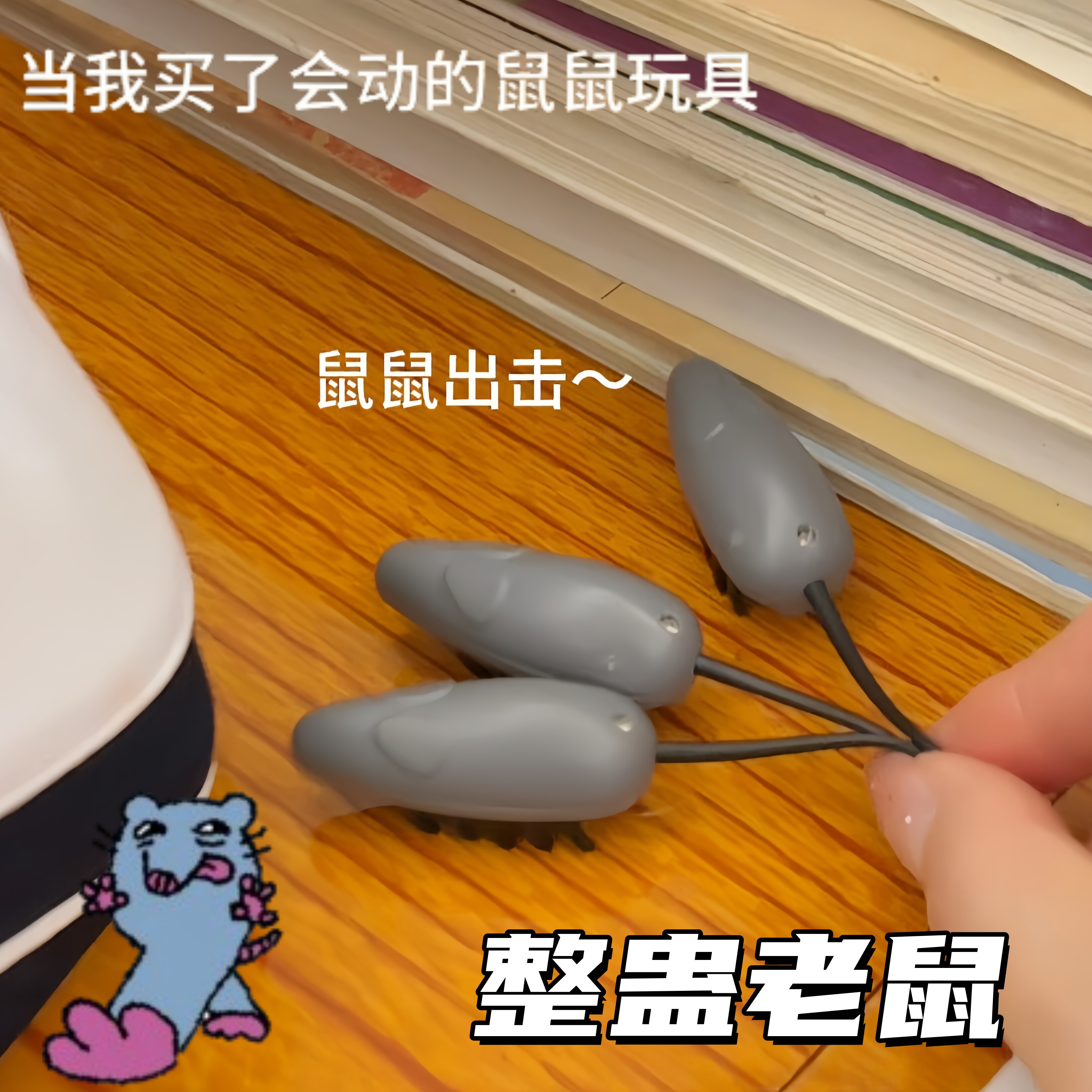 整蛊老鼠玩具仿真爬行恶作剧神器图片
