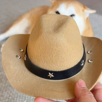 故乡的樱花又开啦~柴犬八嘎帽