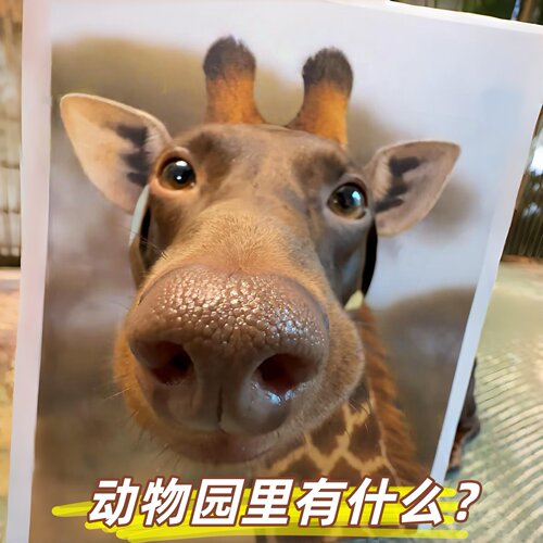 【动物园里有什么】动物cos画
