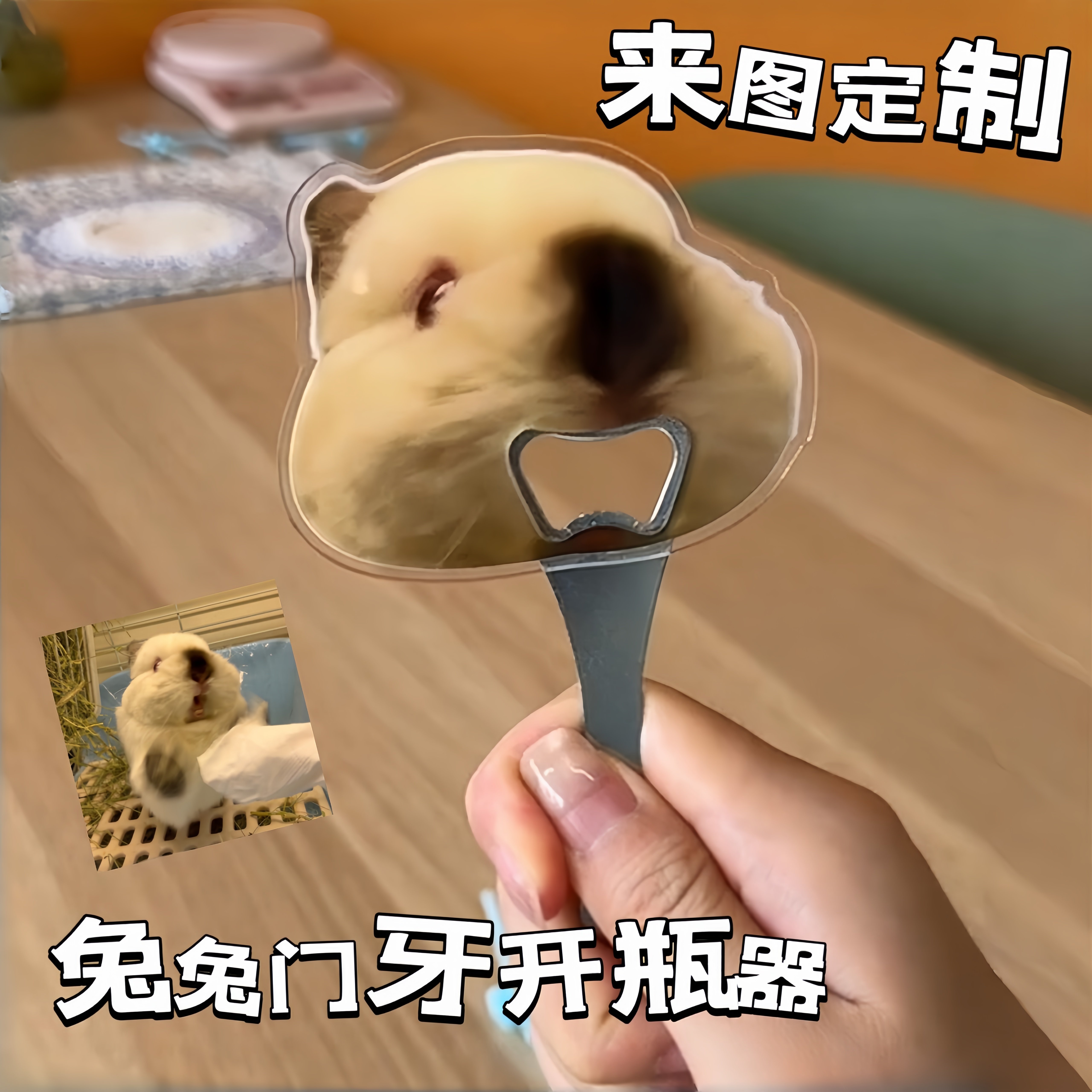 兔兔开瓶器定制可爱宠物磁吸冰箱贴亚克力啤酒起子创意毛孩子周边