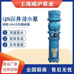 潜水泵井用农田灌溉水泵厂家直销 QS潜水电泵小型家用农用立式