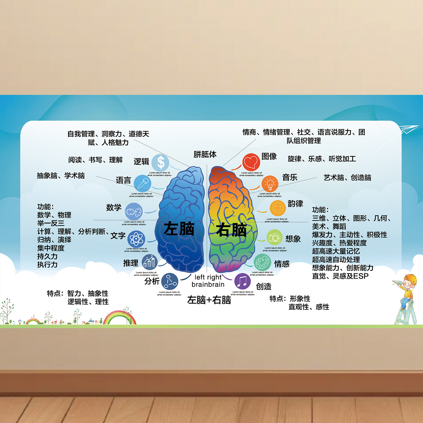 人体开发大脑贴纸左右脑部功能图海报左脑右脑功能区墙贴KT板广告