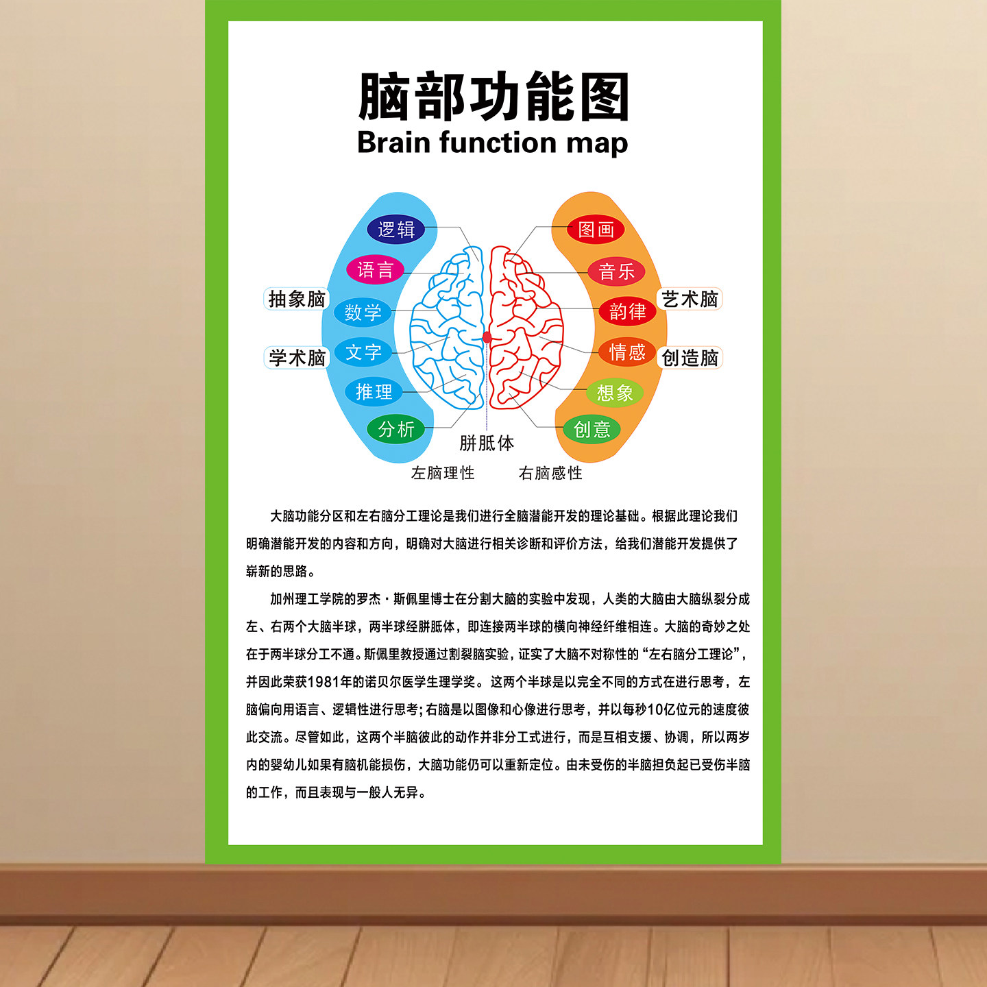 左、右脑各司其职海报左右脑功能图墙贴装饰画左脑理性右脑感性