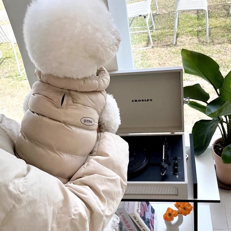 莫兰迪色简约保暖狗狗马甲秋冬季加厚泰迪比熊小型犬猫咪宠物衣服