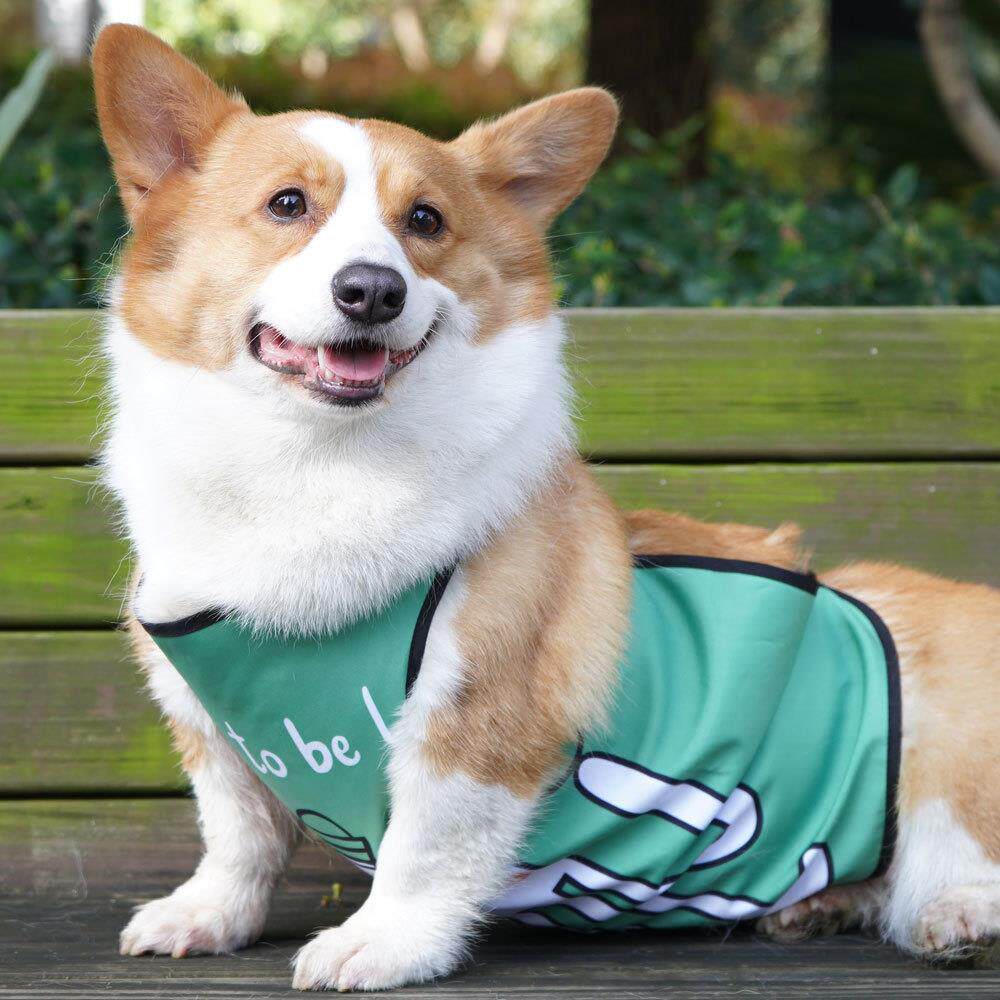 宠它防水柯基肚兜防脏可爱宠物围兜护肚子宠物柯基犬衣服上新