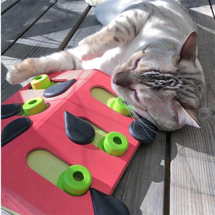 酷极猫咪狗狗玩具猫抓板漏食自嗨转盘逗猫解闷慢食耐抓网红 次品