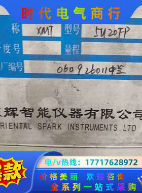 东辉仪表DY2000议价