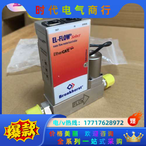 bronkhorst 气体质量计RUR-118T 正品原议价