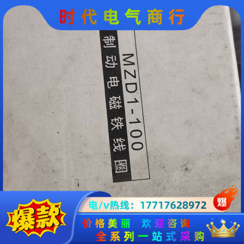 制动电磁铁MZD1-100 电压380V议价