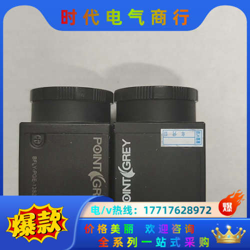 POINTGREY BFLY-PGE-13S2M-CS 灰点议价
