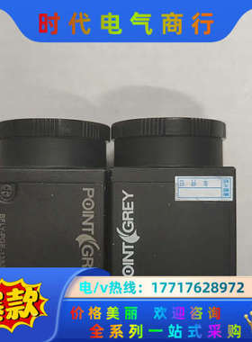 POINTGREY BFLY-PGE-13S2M-CS 灰点议价
