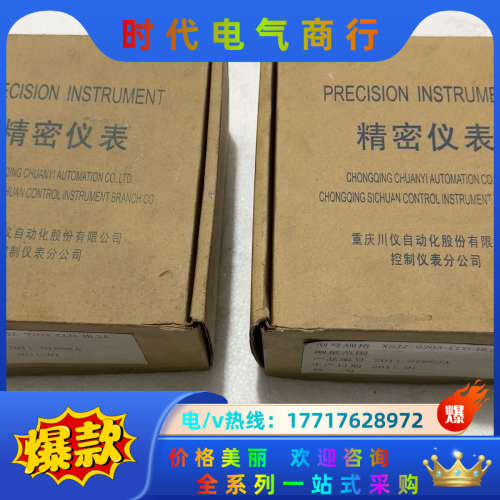 XSJZ系列智能积算器 XSJZ-9203-CC0-HL议价