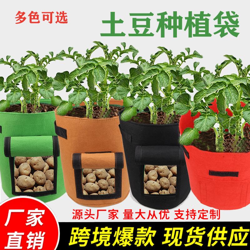 土豆种植袋 毛毡无纺布马铃薯西红柿种植桶植物种植袋植物生长袋