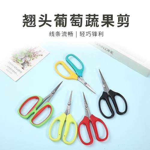 汪吾銓葡萄蔬果剪2108园艺蔬果剪翘头葡萄剪刀 园艺剪 可
