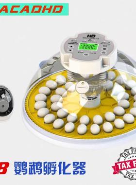 MACADHD全自动澳门A8鹦鹉孵化器孵蛋机 柯尔鸭丝雀孵化育雏箱