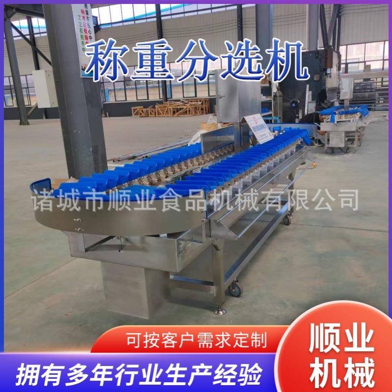 海参生蚝重量分选机 小黄鱼称重分拣设备 鱿鱼小龙虾称重分级机