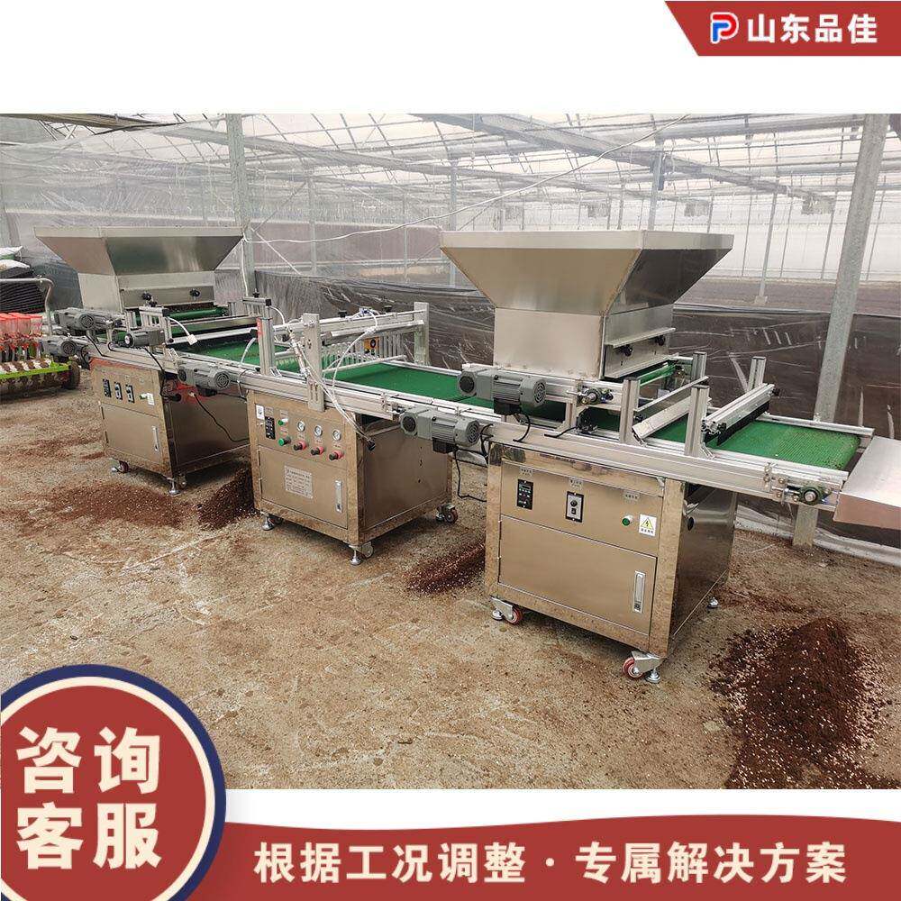 花卉蔬菜种子育秧机 全自动流水线菜籽穴盘点播机 农用育苗播种机