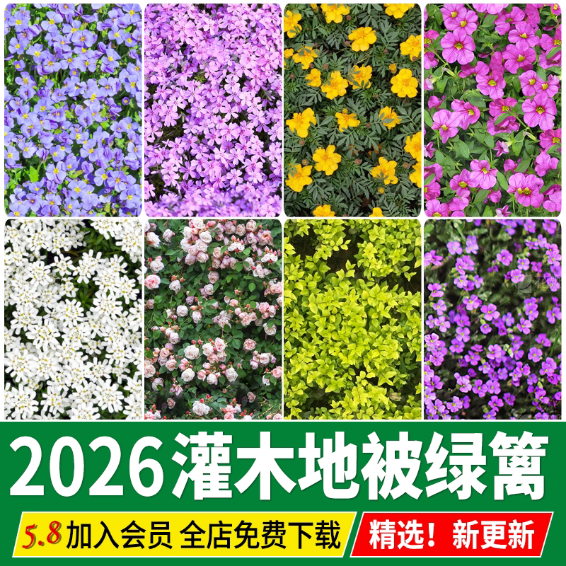 灌木地被花卉绿篱高清无缝花丛植被花海3D彩平图PS平面SU材质贴图