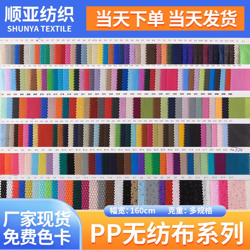 大量彩色现货无纺布 75克100克无妨布 pp无纺布袋 尼龙坎培拉