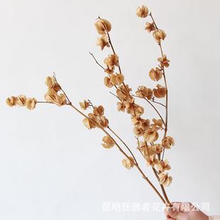狂想者新品 飾插花擺件原色燈籠果瓶插干枝干果自然干花 室內家居裝