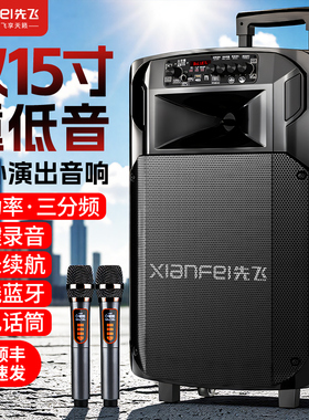 广场舞蓝牙音响户外K歌拉杆音箱店铺专用家用带无线话筒唱歌