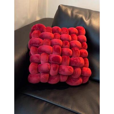 【新家的100个快递】新年红抱枕沙发客厅轻奢高级感方形编织靠垫