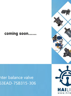 KCB63EAD-7SB315-306 for deck crane KHM-3026S 克令吊控制阀组