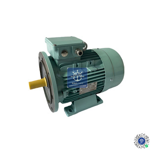 Indcution Phase Motor 4三相异步电动机感应电动机Three MS112M