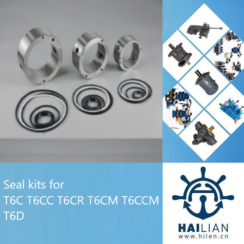 Seal kits for T6C T6CC T6CR T6CM T6CCM T6D 油泵密封修理包