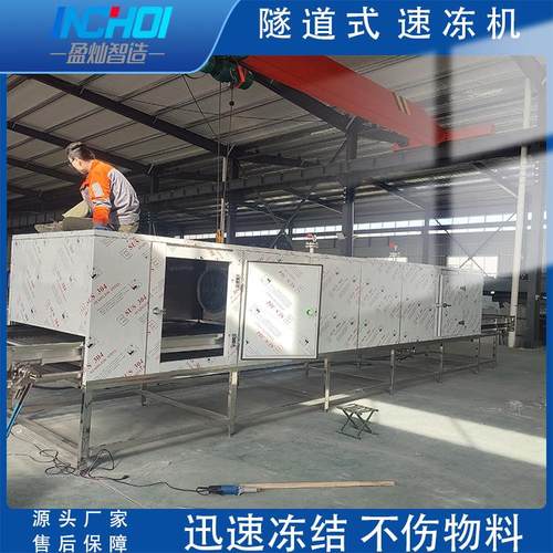 液氮速冻机全自动海鲜扇贝肉速冻设备薯条炸鸡鸡排速冻机商用