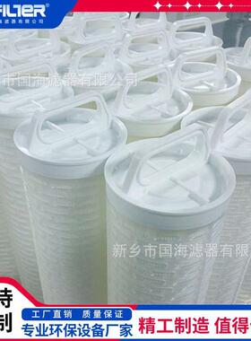 60寸大通量折叠滤芯 工业循环污水处理保安大流量滤芯HFU640UY100