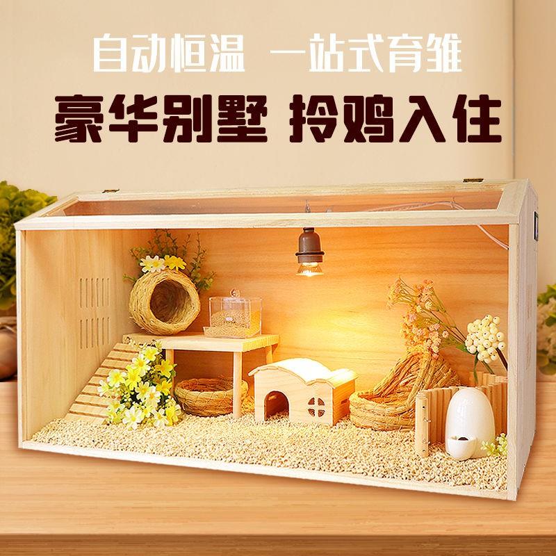 芦丁鸡饲养箱全套育雏养殖小鸡仓鼠金丝熊木房子豪华保温箱卢丁鸡