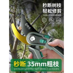 德国剪树枝专用剪刀修树枝花木剪修枝剪粗枝家用果树园艺园林省力