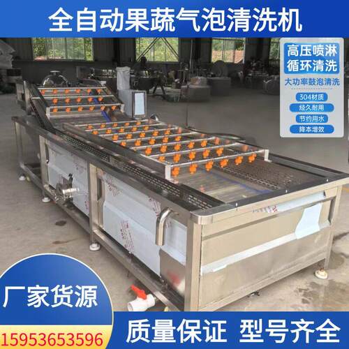 大型果蔬气泡清洗机商用桑葚香葱去农残洗菜机甜苣菜清洗流水线