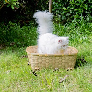 刘家人竹编竹藤编织长方形猫窝狗窝四季通用宠物凉窝猫砂盆水果篮