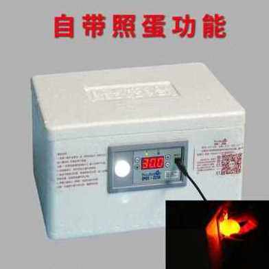 极速新新款厂促种蛋小型家用型鸡鸭鹅受精蛋孵化B器全自动控温枚
