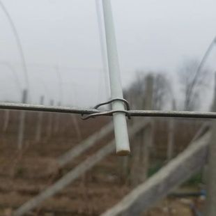 葡萄杆玻璃纤维钢丝固定神器竹片卡扣小棚支架拱棚夹子避雨棚配件