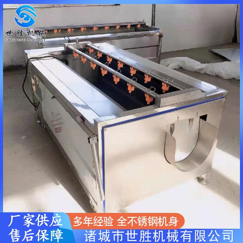 厂家供应蔬菜毛刷清洗机 土豆去皮机设备 马蹄清洗去皮机设备