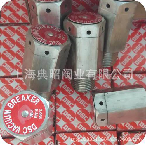 DSC不锈钢真空破除器 VB-1 PN16破真空阀 VB-1真空破除器1/2