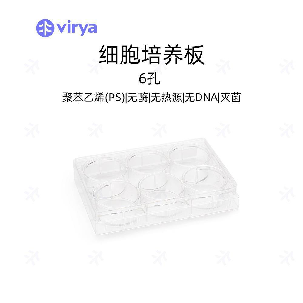 Virya 细胞培养板 6孔12孔24孔48孔96孔