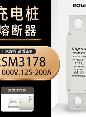 RSM3178熔断器DC1000V充电桩熔断器RS309规格齐100A200A量大直流