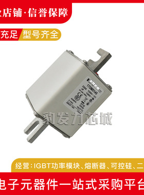 170M5246 170M5247 170M5248 170M5249 170M5250全新熔断器现货