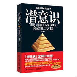 湖南文艺出版 正版 高原 潜意识：突破阶层之墙 社 速发9787540456153