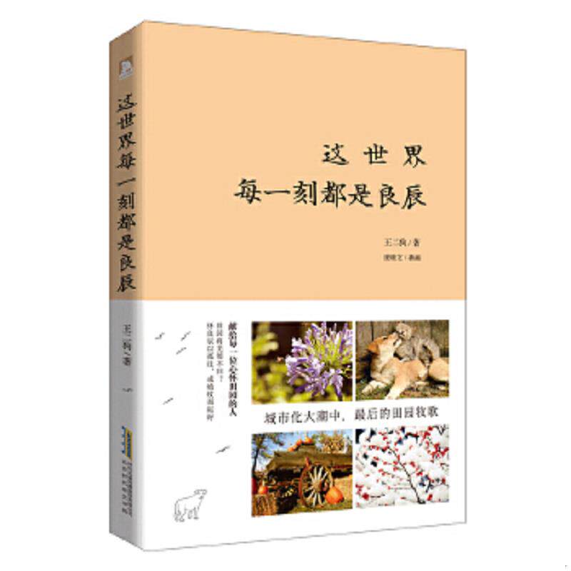 正版速发9787569907018 这世界每一刻都是良辰  王二狗 北京时代华文书局 王二狗 北京时代华文书局