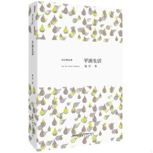安徽文艺出版 正版 海岩 平淡生活 社 速发9787539641379