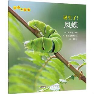 凤蝶 现货 安徽教育出版 速发9787533682682 社 小杉美野里 诞生了 塑封 正版 保正