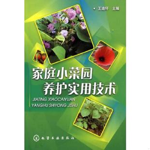速发9787122095039 化学工业出版 家庭小菜园养护实用技术 主编 社 王迪轩 正版