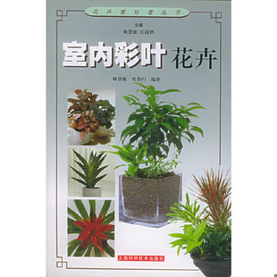 花卉爱好者丛书 室内彩叶花卉 梅慧敏 张鲁归编著 社 正版 上海科学技术出版 速发9787532358823