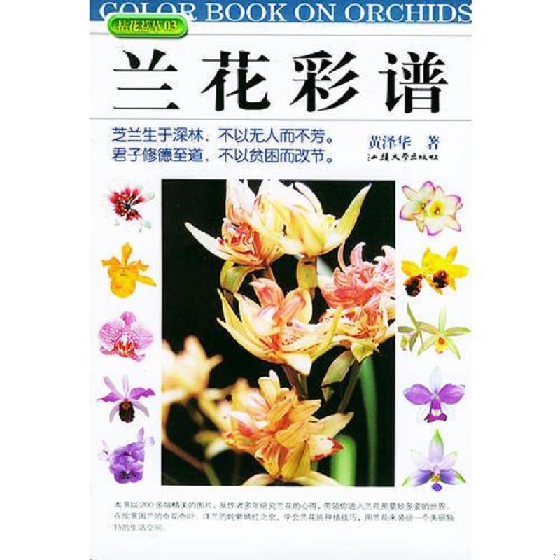 正版速发兰花彩谱 一版一印 内页干净很新无写划 实物拍图看图下单 黄泽华著 汕头大学出版社